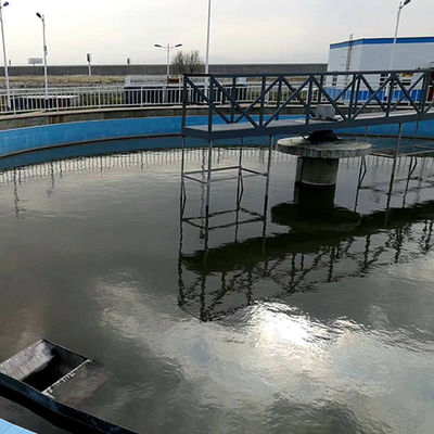 스테인레스 강 하프 브리지 주변 드라이브 슬러지 스크레이퍼 침강 탱크