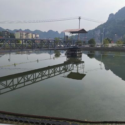 하프 브리지 슬러지 스크레이퍼 장비 주변 드라이브 탄소강